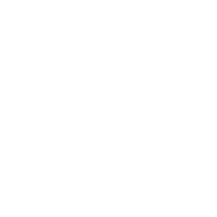 DSME Icon_White