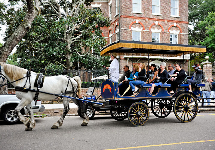 DestinationSouth_Savannah_Tours_Safe-Guard1